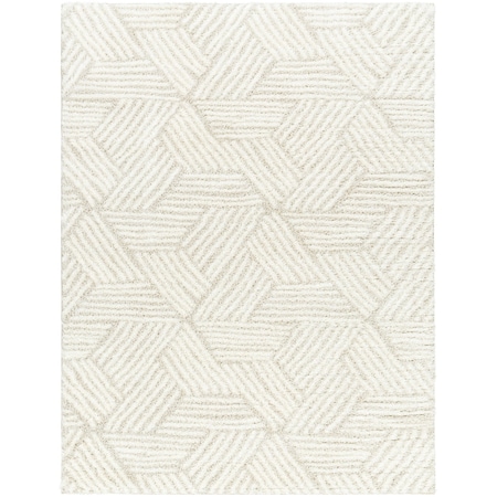 Cloudy Shag CDG-2319 Machine Crafted Area Rug